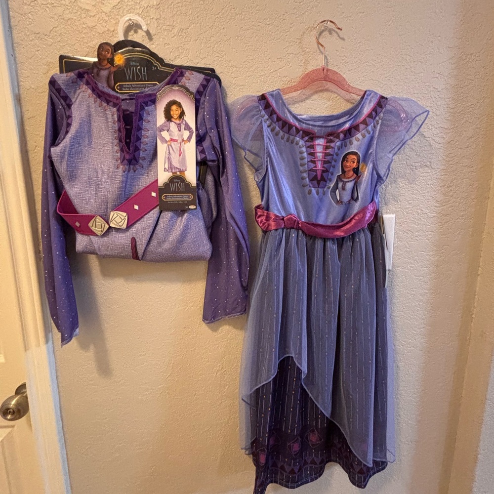 Disney Wish Asha Costume Gown Bundle